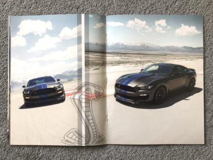 2017 Ford Mustang Ecoboost, GT, GT350 Brochure - Image 11