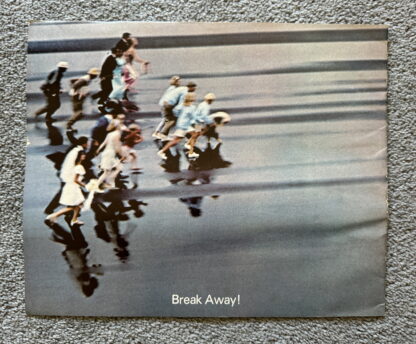 1969 Pontiac Wagon Range Brochure Bonneville, Catalina, LeMans, Executive - Image 9