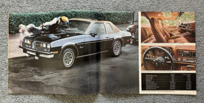1977 Pontiac Range Brochure Firebird, Trans Am, Bonneville, LeMans, Catalina - Image 10
