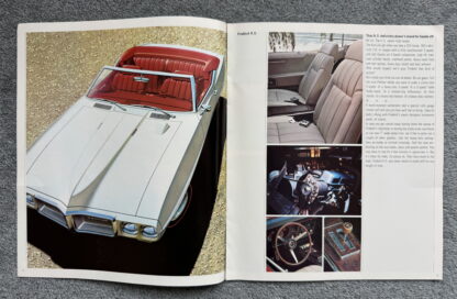 1969 Pontiac Firebird Brochure - Image 3