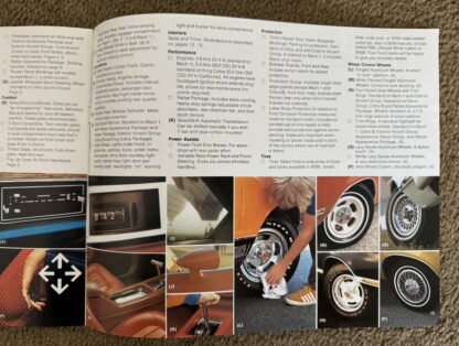 1978 Ford Mustang II, Cobra, Mach 1, King Cobra Brochure - Image 21
